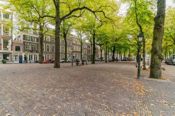Boomrijke laan met klassieke herenhuizen aan het Lange Voorhout in Den Haag.